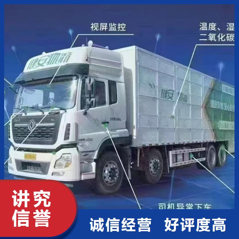 宿迁泗洪到牛运输团队专业