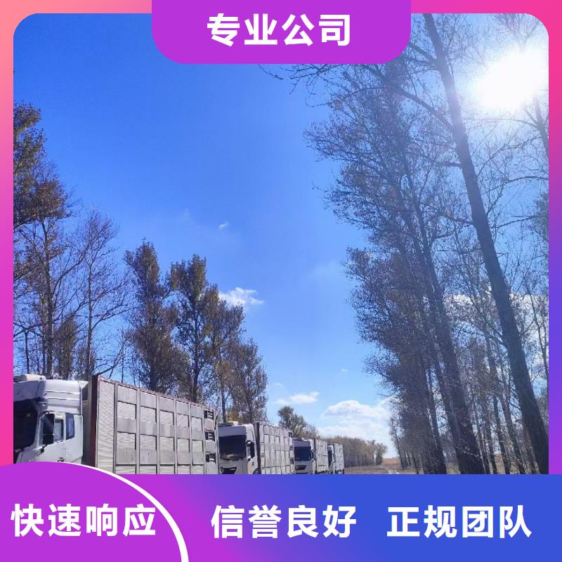 宿迁泗洪到种猪空调车运输资源充足
