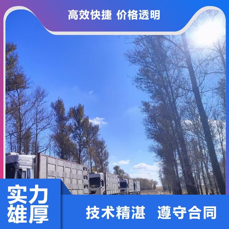 湖州到种猪空调车运输设备精良