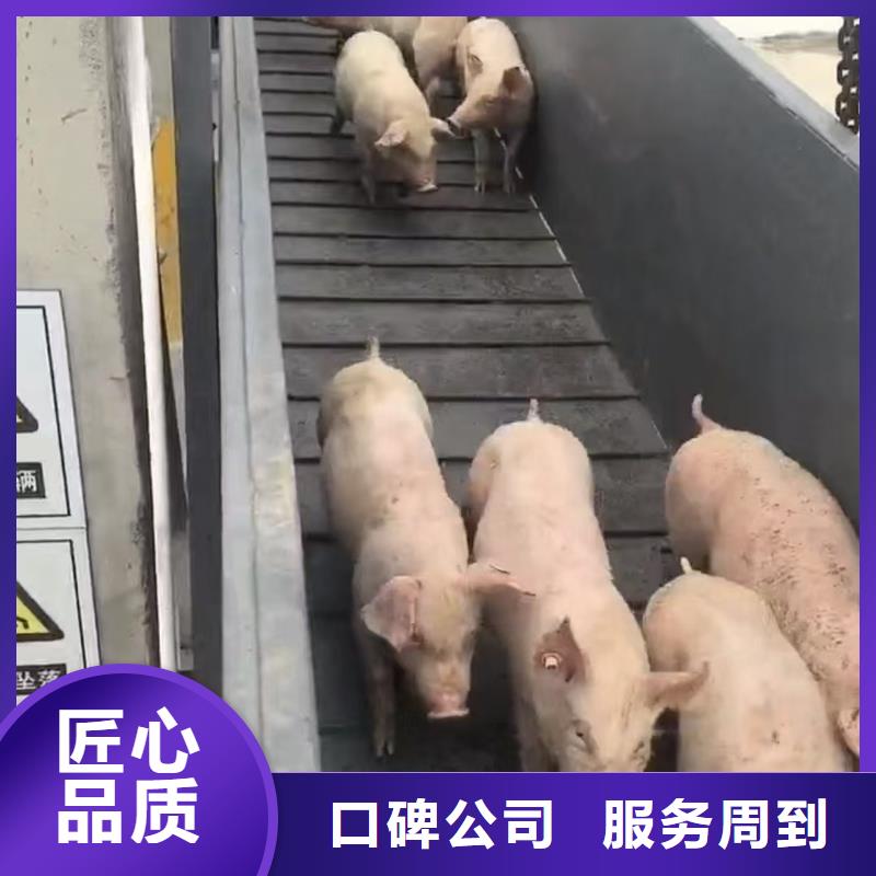 菏泽至活禽运输空调车售后保障