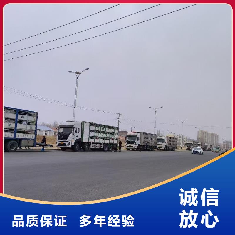 淮南至畜禽运输应急