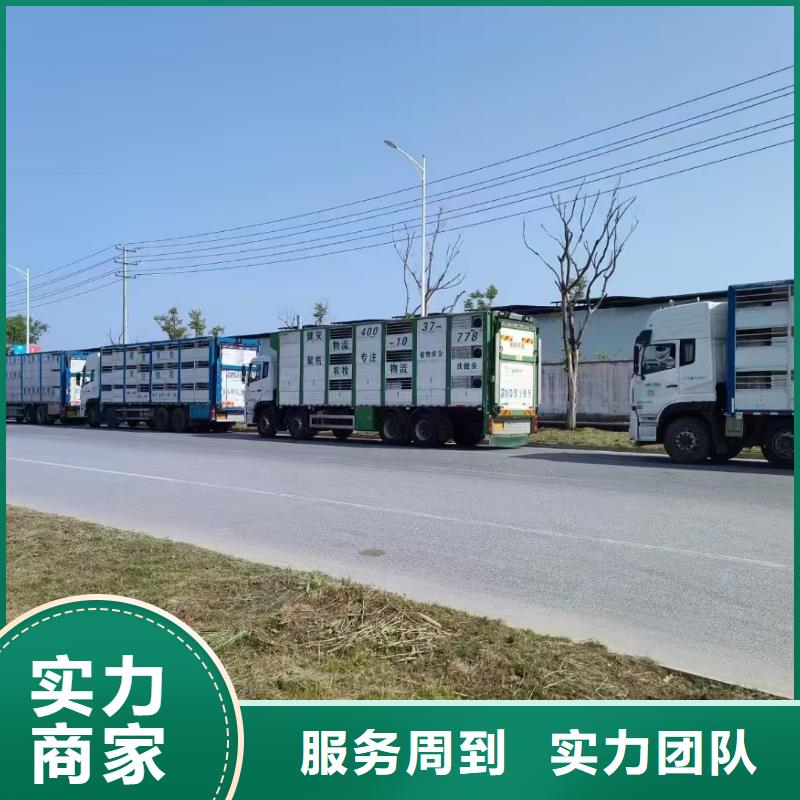 安庆至种猪恒温车运输团队专业