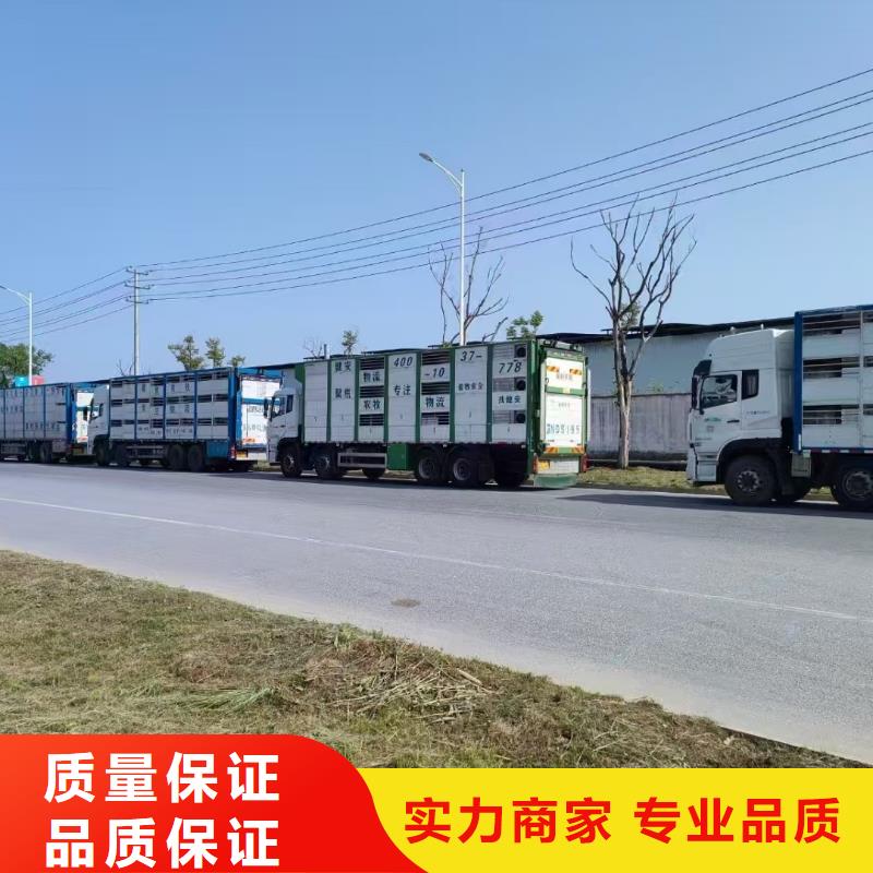 东营到活禽运输空调车专业承接