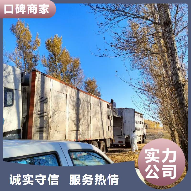 宿迁到活禽运输天天发车