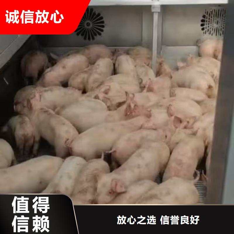 泰州到猪牛羊运输空调车诚信经营