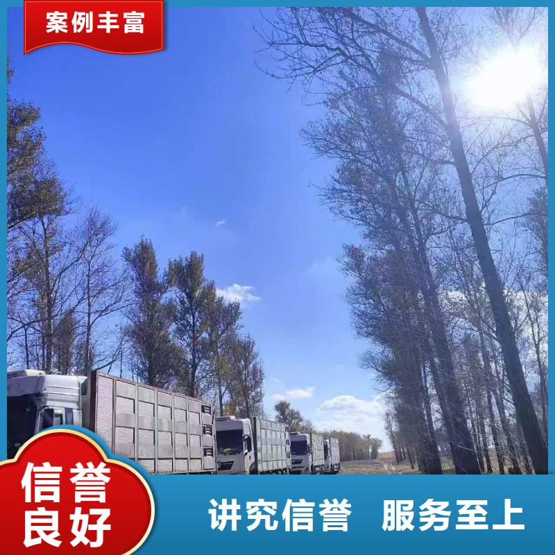 宿迁到羊运输快捷