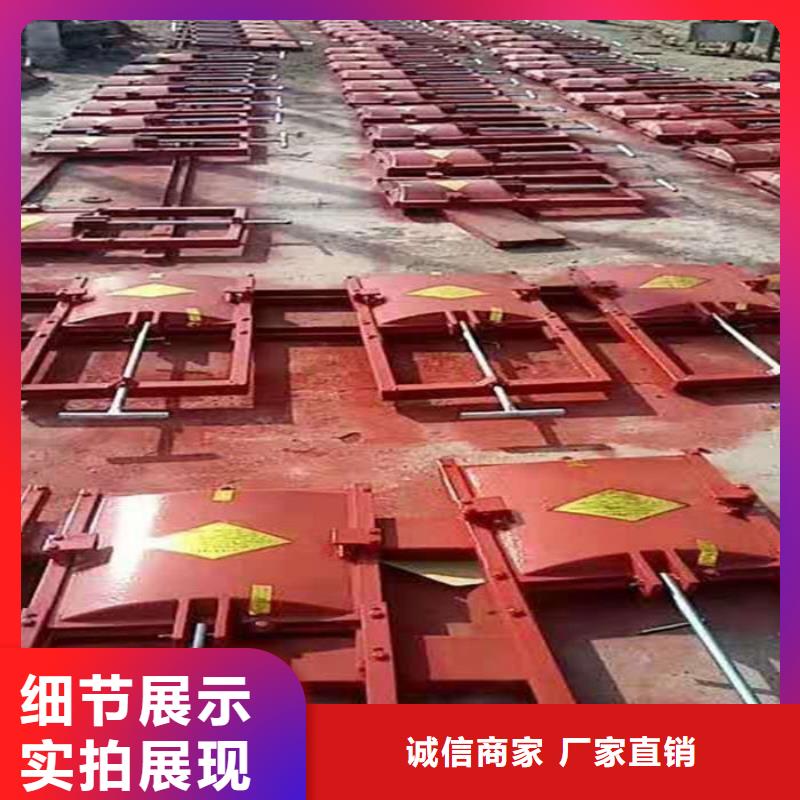 冲砂闸铸铁闸门工厂直供