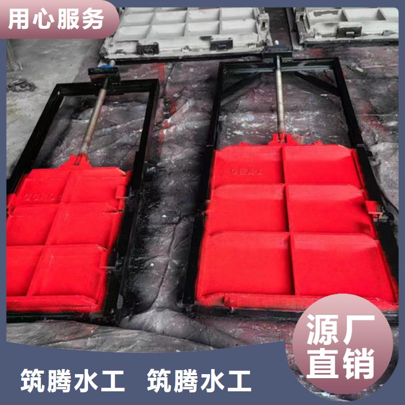冲砂闸铸铁闸门工厂直供