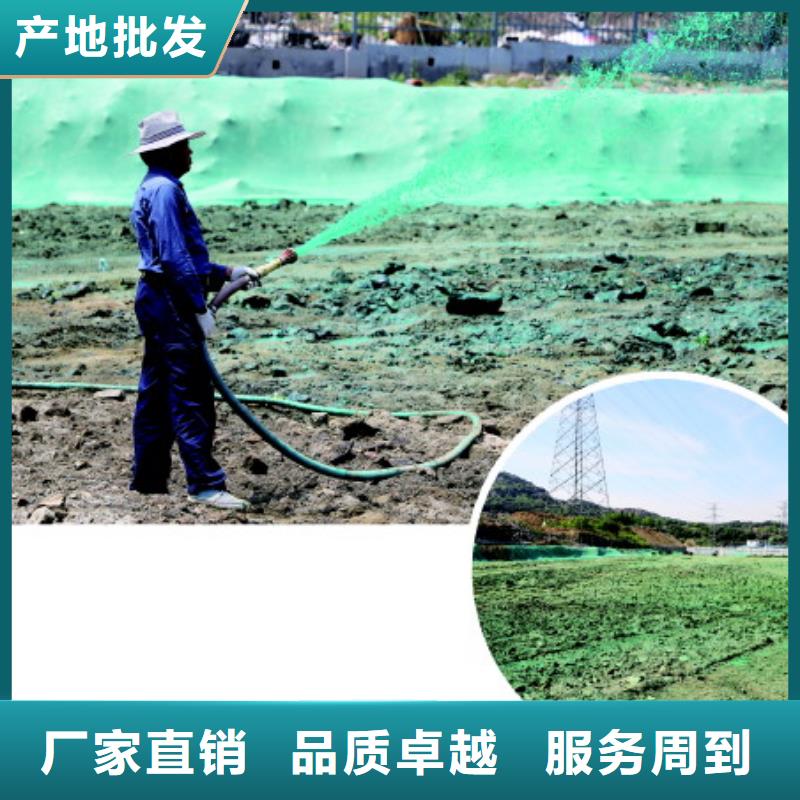 结壳绿色抑尘剂替代绿网,无二次污染矿山专用抑尘剂