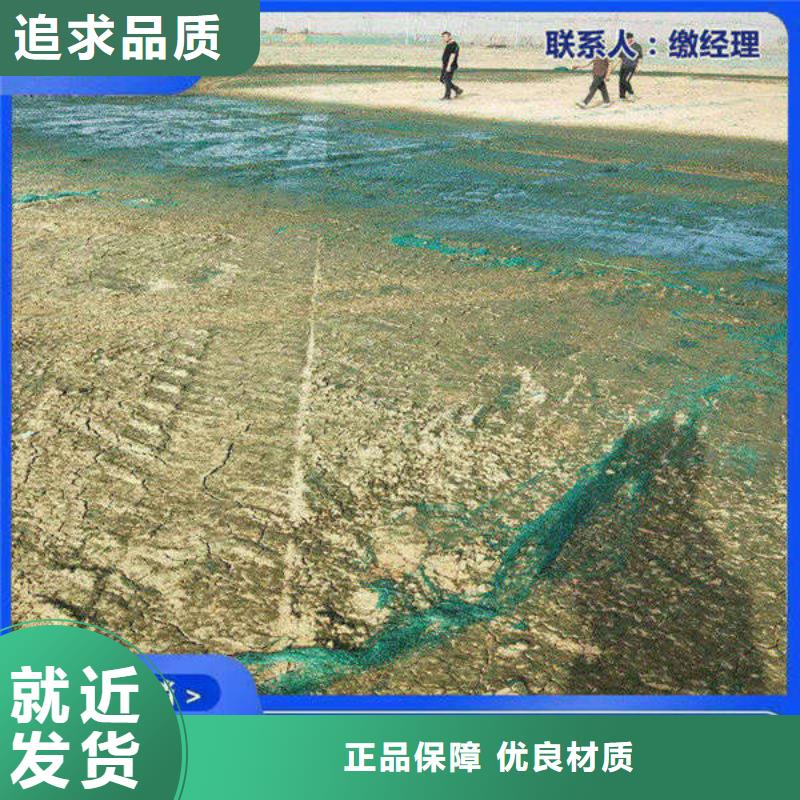 生物酶降尘剂实力生产厂家