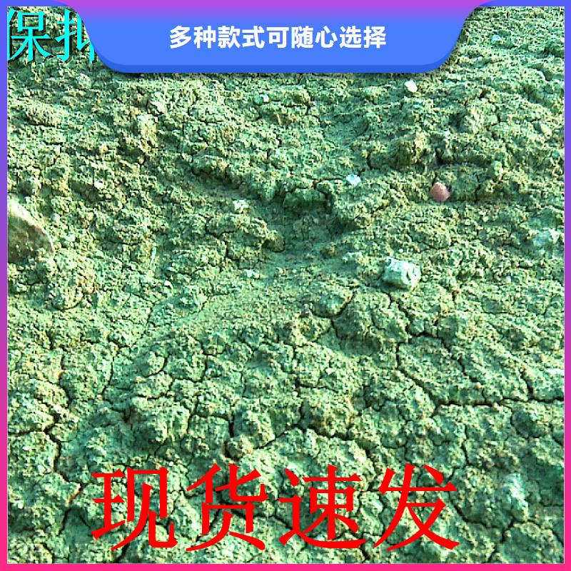 生物酶降尘剂实力生产厂家